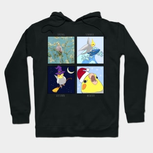 Seasons of the Birb Hoodie